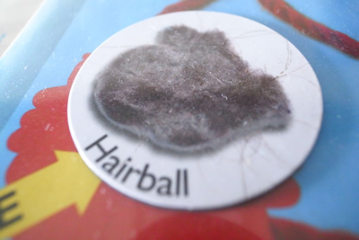 hair ball