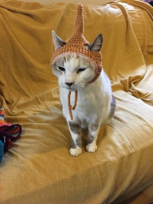 zaoric knitknitとんがり帽子猫様用。